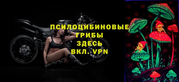 мдпв Майский