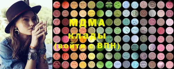 молекула духа Богородицк
