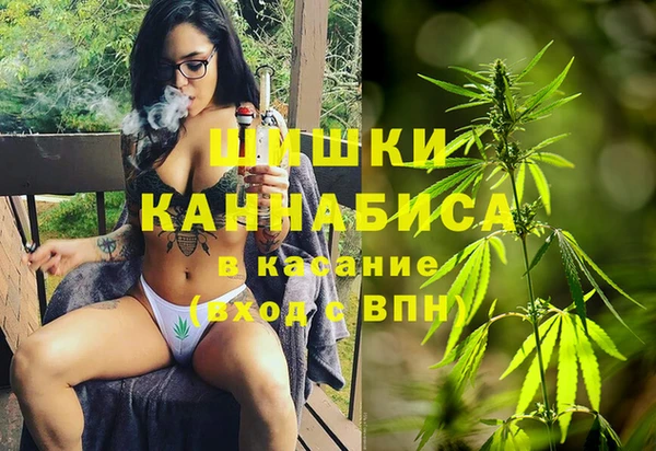 шишки Балашиха