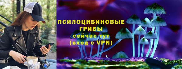 мдпв Майский