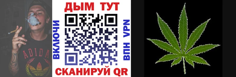 Бошки марихуана SATIVA & INDICA  где найти   Вилюйск 